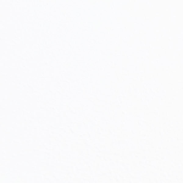 Get angelynns belt holder organizer hanger wall mount hanging closet storage rack womens mens valet shelf arinn white