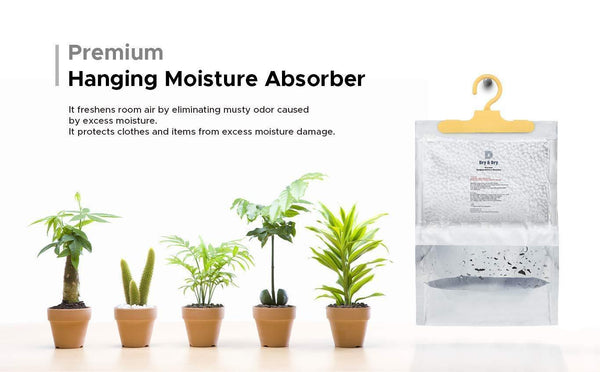 Purchase dry dry 50 packs net 14 oz pack premium hanging moisture absorber to control excess moisture for basements closets bathrooms laundry rooms