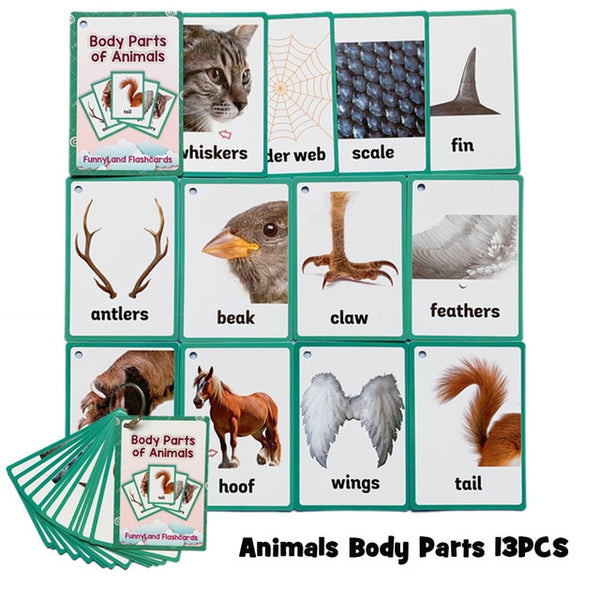 18Pcs/Set Farm Animals Kids Montessori Learning English Card Word Card Pocket Flash Card Early Educational Toys For Children